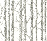 Paper Birch White & Grey Wallpaper with Botanical Birch Tree Motif - York BW3901