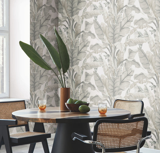 Banana Leaf White & Cream Wallpaper with Tropical Banana Leaf Motif - York BW3972