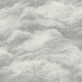 Belgravia Decor Nimbostratus Pewter Cloud Wallpaper roll and room scene