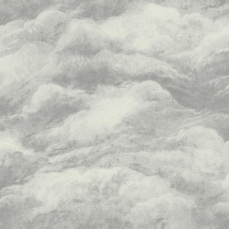 Belgravia Decor Nimbostratus Pewter Cloud Wallpaper roll and room scene