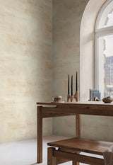 Salt Flats Desert Wallpaper in Desert - York CC1221