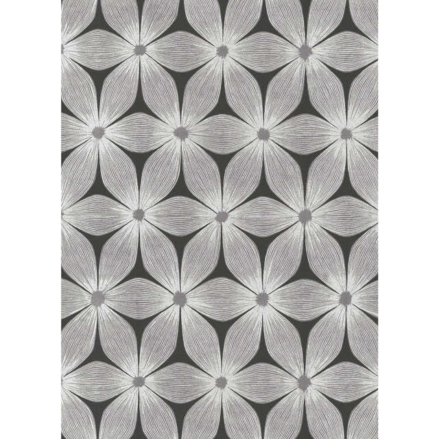 Everlasting Black & Silver Floral Wallpaper - York CI2305