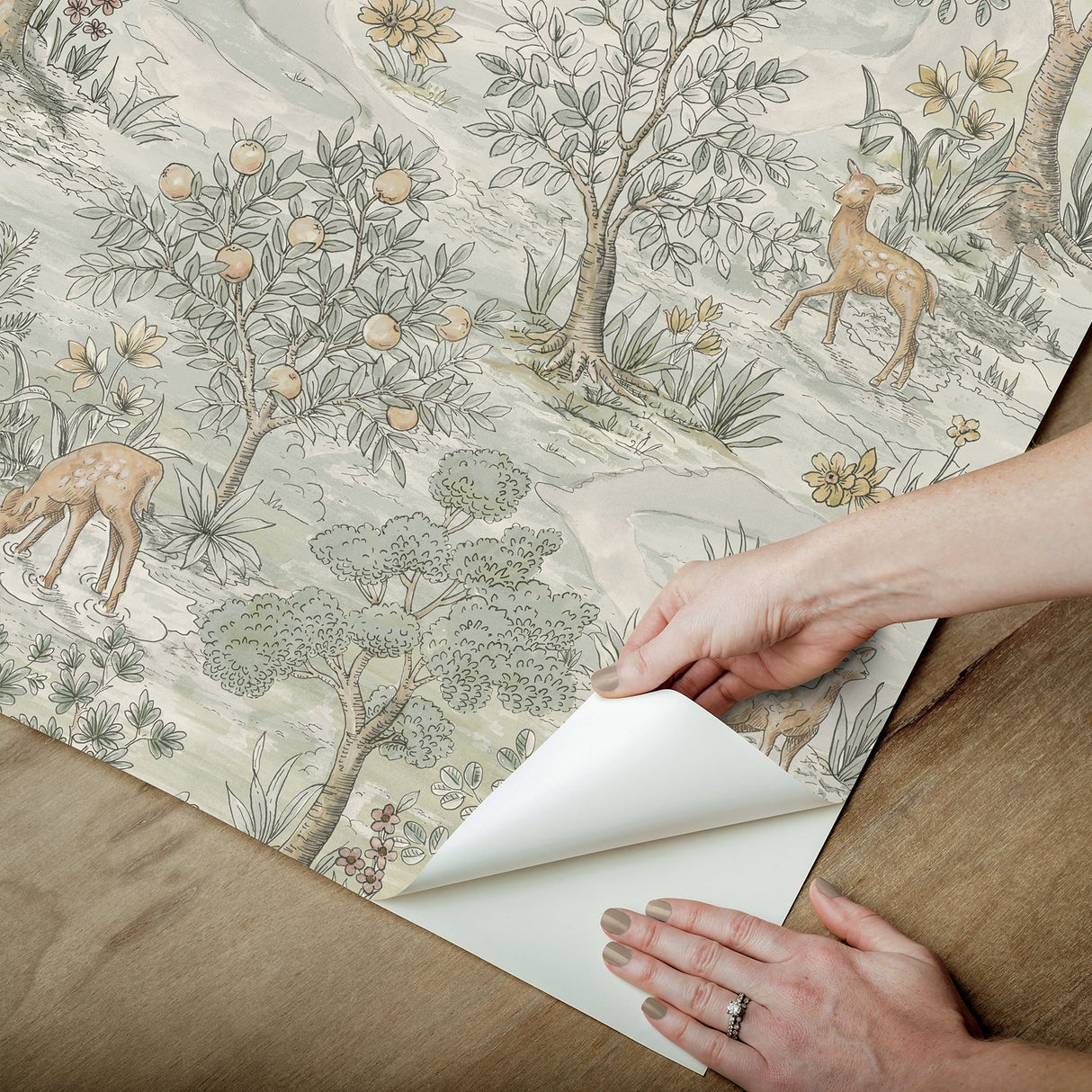 Bramble Wintergreen Peel & Stick Wallpaper with Traditional Toile Woodland Motif - NuWallpaper CJS6321