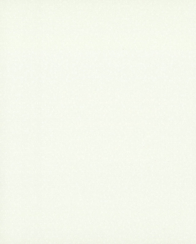 Honey Bee White Wallpaper with Geometric Honeycomb Pattern - York COD0502N