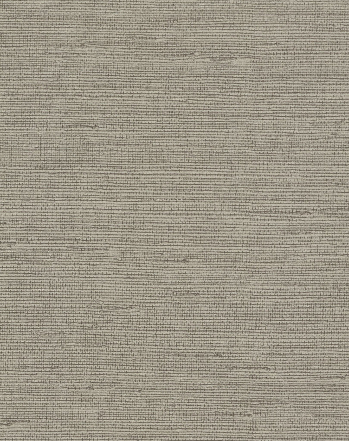 Pampas Brown Textured Matte Wallpaper - York COD0553N