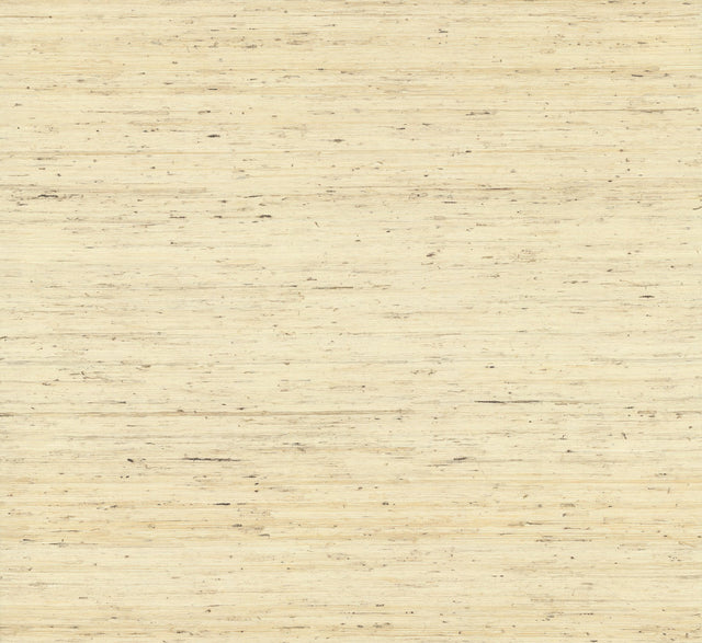 Arrowroot Off White Grasscloth Wallpaper with Natural Woven Texture - York CP9345