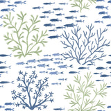 Marine Garden Green & Blue Wallpaper with Coastal Fish and Coral Motif - York CV4404