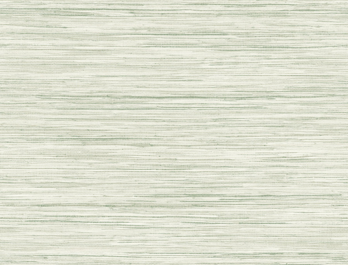Bahiagrass Green Wallpaper with Faux Grasscloth Texture - York CV4413