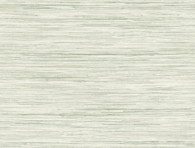 Bahiagrass Green Wallpaper with Faux Grasscloth Texture - York CV4413