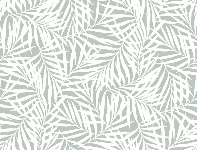 Oahu Fronds Light Green & White Wallpaper with Botanical Leaf Motif - York CV4434