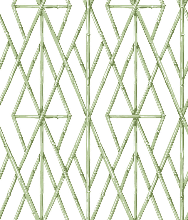 Riviera Bamboo Trellis Green Wallpaper with Geometric Bamboo Lattice - York CV4451