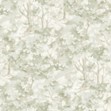Chesapeake Thicket Sage Forest Wallpaper roll showing sage green treetop motif on cream background