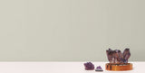 Radiant Juniper Light Grey Textured Wallpaper - York DA3534N
