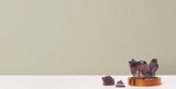 Radiant Juniper Tan Wallpaper with Textured Metallic Bark Motif - York DA3536N