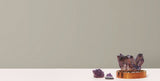 Radiant Juniper Beige Wallpaper with Textured Metallic Bark Motif - York DA3540N