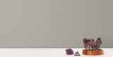 Radiant Juniper Dark Grey Wallpaper with Textured Metallic Bark Motif - York DA3544N