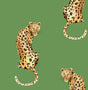 Leopard King green leopard print peel and stick wallpaper by Daisy Bennett Designs