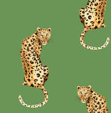 Leopard King Green by Daisy Bennett Peel and Stick Leopard Peel & Stick Wallpaper – Daisy Bennett Designs DB20204 -Sample