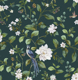 Chinoiserie Bird Vine peel and stick wallpaper in teal with birds, leafy vines, and white blossoms