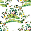 Citrus Hummingbird wallpaper with colorful hummingbirds, citrus branches, and green foliage on a white background.