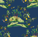 Navy blue wallpaper with citrus branches, blossoms, and hummingbirds in a contemporary botanical pattern.