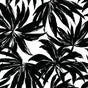 Palma botanical wallpaper with bold black tropical leaves on a white ground