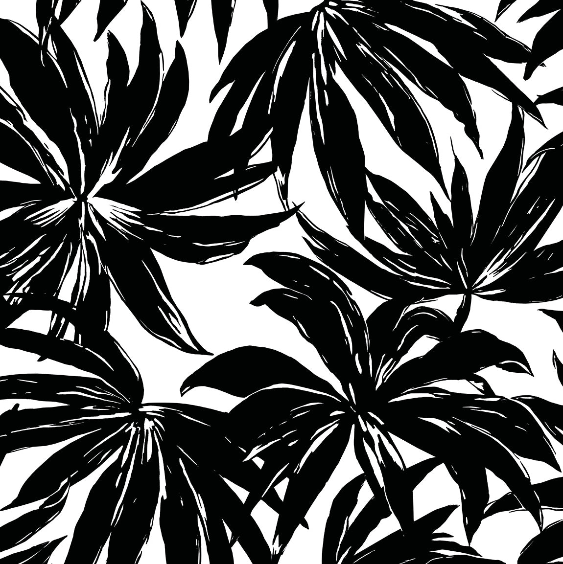 Palma Black by West Boulevard Collection Botanical Wallpaper – Daisy Bennett Designs DBW9111 -Sample