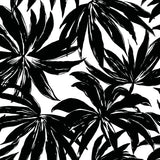 Palma Black by West Boulevard Collection Botanical Wallpaper – Daisy Bennett Designs DBW9111 -Sample