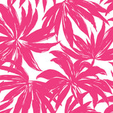 Palma Hot Pink by West Boulevard Collection Botanical Wallpaper – Daisy Bennett Designs DBW9117 -Sample