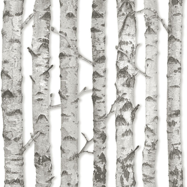 Merman Light Grey Birch Tree Wallpaper with Farmhouse Nature Trees Pattern - ESTA Home DD138889
