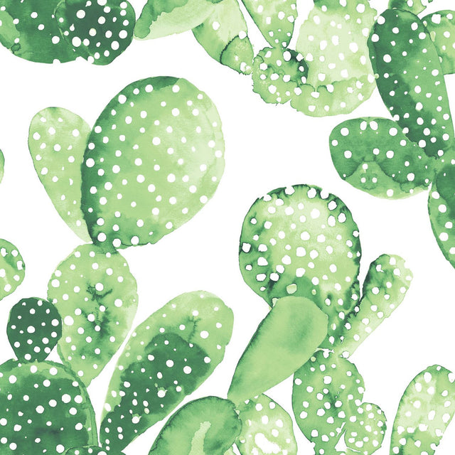 Mimi Green Cactus Wallpaper