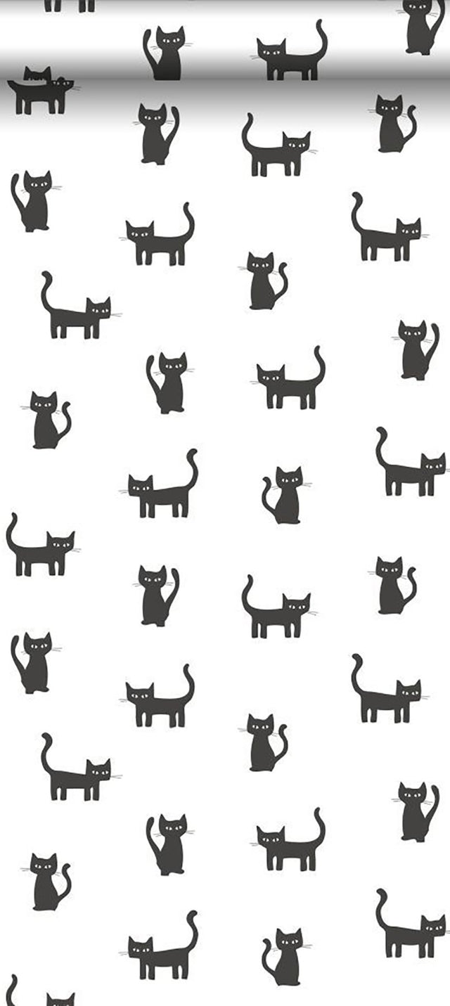 Salem Black Kittens Wallpaper