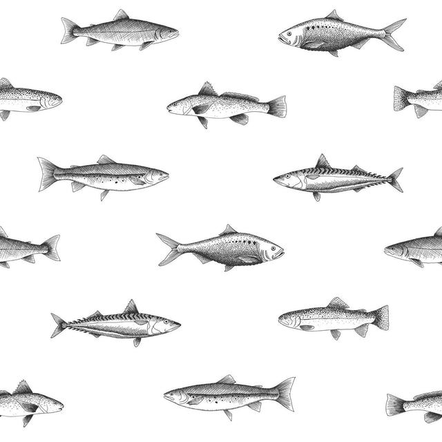 Fiyero Off White Fish Wallpaper with Hand-Drawn Coastal Fish Motif - ESTA Home DD138967