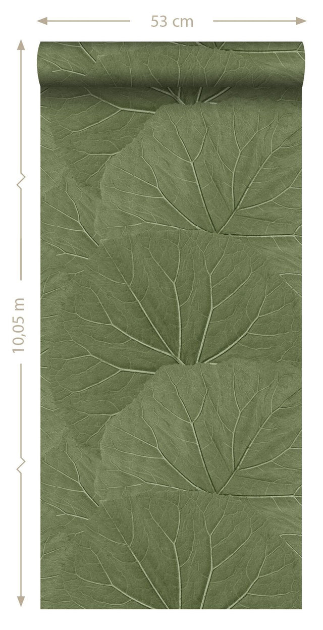 Xylem Olive Large Leaves Wallpaper with Botanical Non Woven Eclectic Style - ESTA Home DD138995