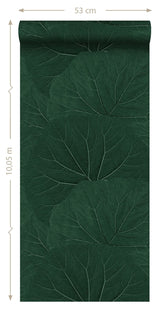 Xylem Evergreen Large Leaves Wallpaper with Botanical Non Woven Eclectic Style - Brewster DD138997