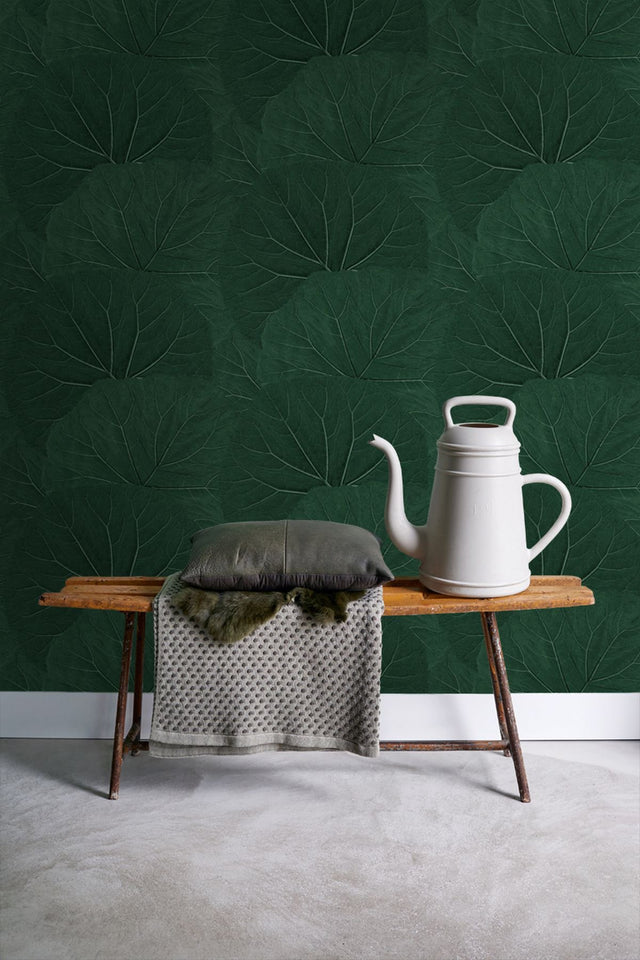 Xylem Evergreen Large Leaves Wallpaper with Botanical Non Woven Eclectic Style - Brewster DD138997