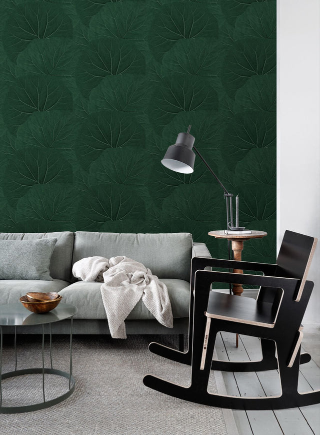 Xylem Evergreen Large Leaves Wallpaper with Botanical Non Woven Eclectic Style - Brewster DD138997