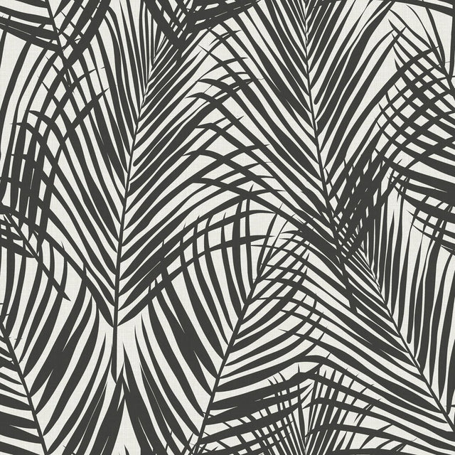 Fifi Black Palm Frond Wallpaper