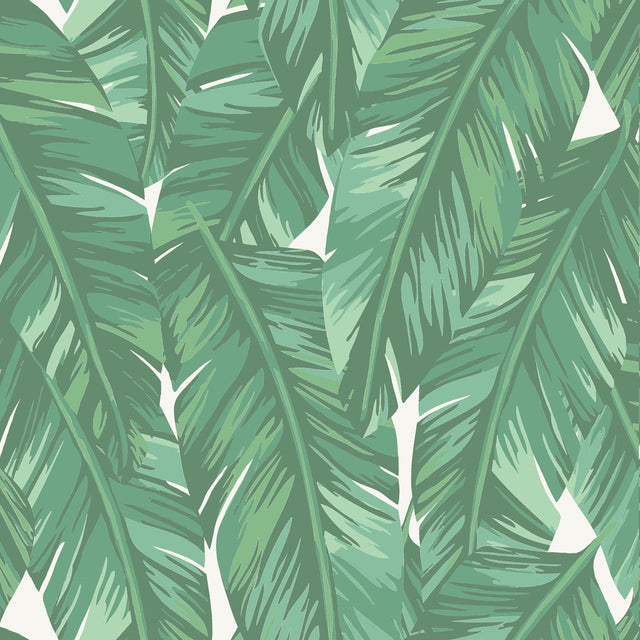 Dumott Green Tropical Leaves Wallpaper with Botanical Leaves Pattern and Tropical Style - ESTA Home DD139014