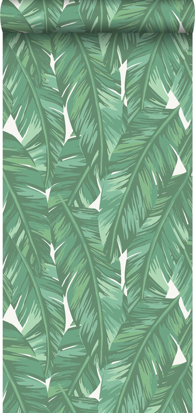 Dumott Green Tropical Leaves Wallpaper with Botanical Leaves Pattern and Tropical Style - ESTA Home DD139014