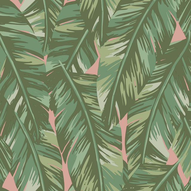 Dumott Olive Tropical Leaves Wallpaper with Botanical Banana Leaf Motif - ESTA Home DD139015