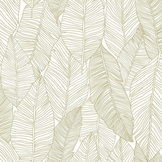 Canales White Gold Inked Leaves Wallpaper