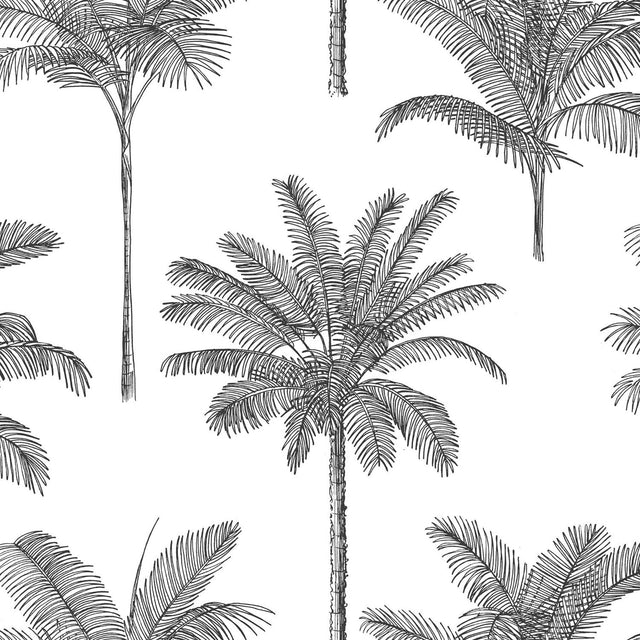Taj Charcoal Palm Trees Wallpaper with Tropical Botanical Palm Motif - ESTA Home DD139162