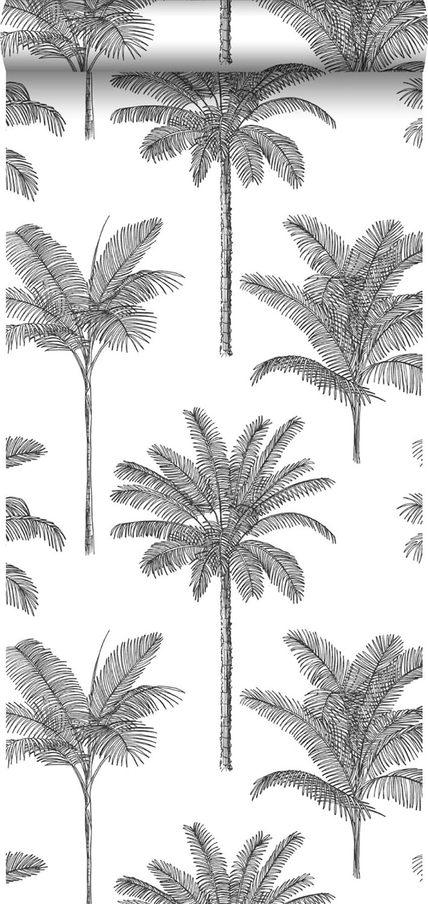 Taj Charcoal Palm Trees Wallpaper with Tropical Botanical Palm Motif - ESTA Home DD139162
