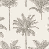 Taj Beige Palm Trees Wallpaper with Bohemian Botanical Trees Pattern - ESTA Home DD139163