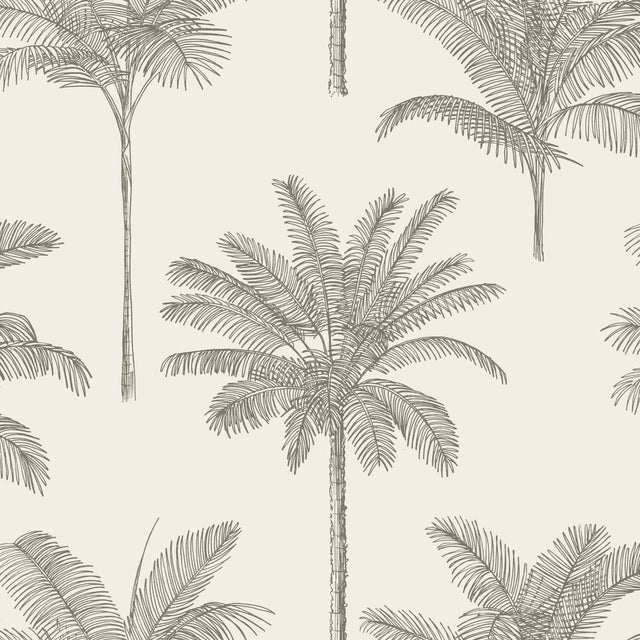 Taj Beige Palm Trees Wallpaper with Bohemian Botanical Trees Pattern - ESTA Home DD139163