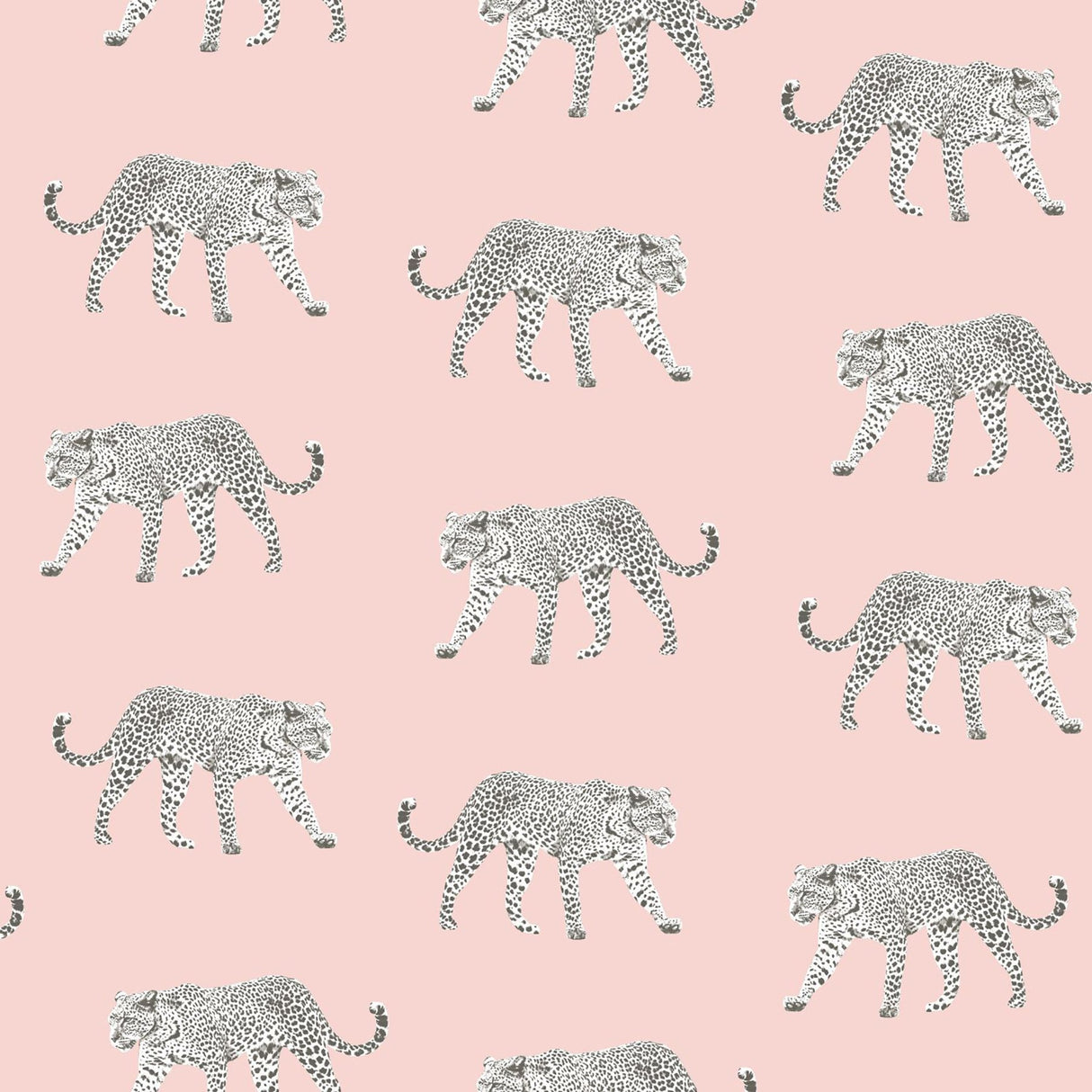 Prowl Pink Jaguars Wallpaper with Bohemian Animal Motif - Brewster DD139177