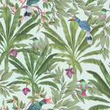Carola Green Jungle Tropics Wallpaper with Tropical Birds and Palm Leaves - ESTA Home DD139189