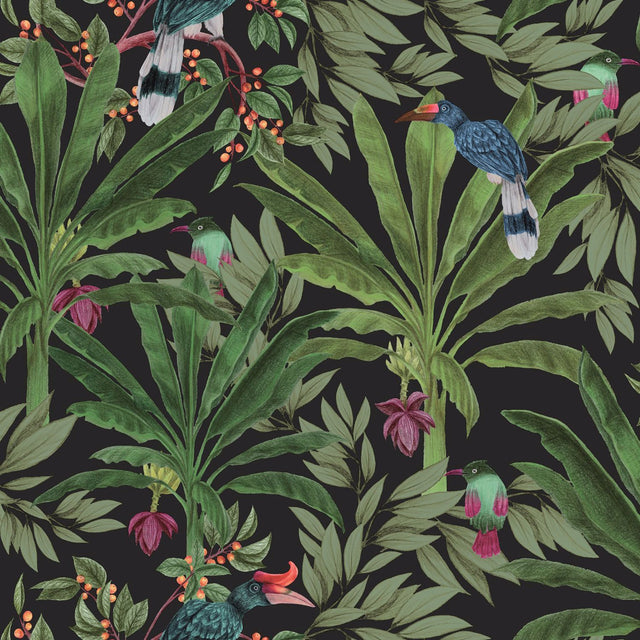 Carola Black Jungle Tropics Wallpaper with Illustrative Tropical Birds and Palms - Brewster DD139190