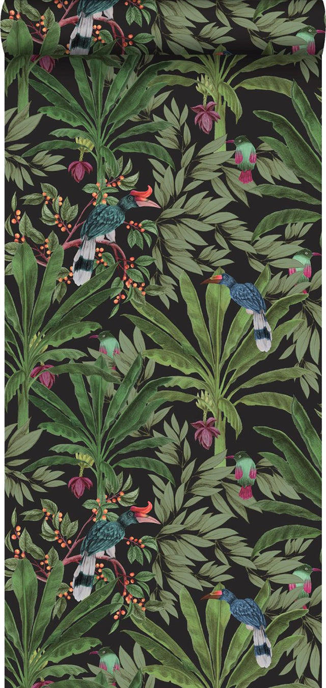 Carola Black Jungle Tropics Wallpaper with Illustrative Tropical Birds and Palms - Brewster DD139190